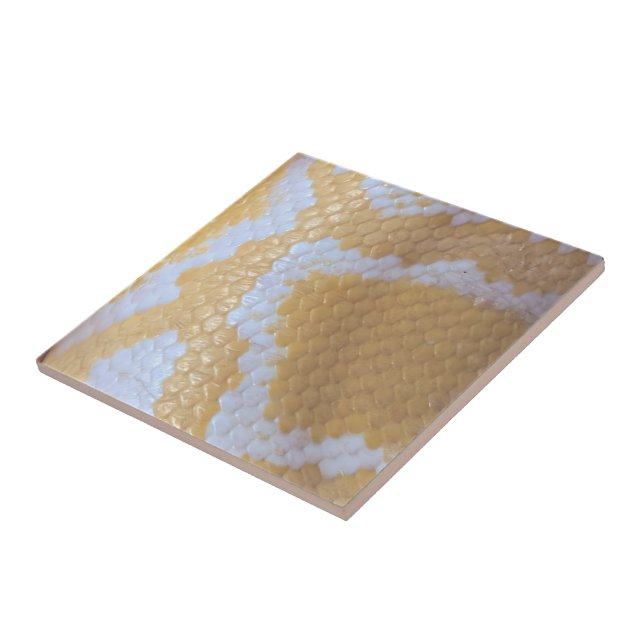 Happy Birthday Snake  Tile (Side)