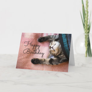 Happy Birthday   Snoozing Kitten Card