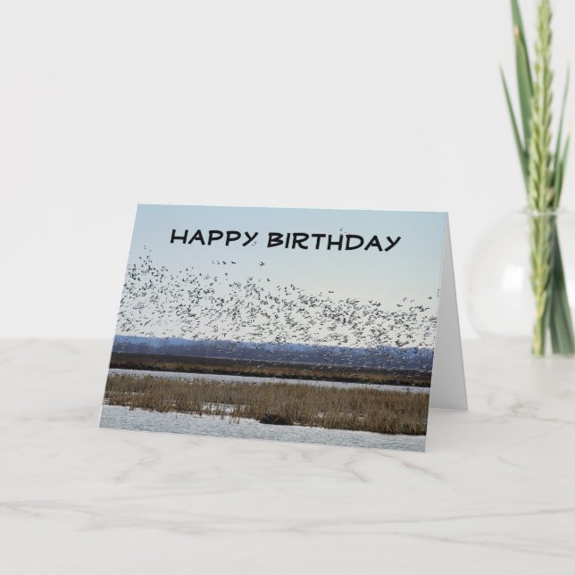 Happy Birthday Snow Geese at Squaw Creek Refuge Card (Front)