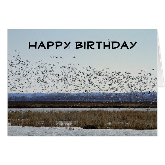 Happy Birthday Snow Geese at Squaw Creek Refuge Card