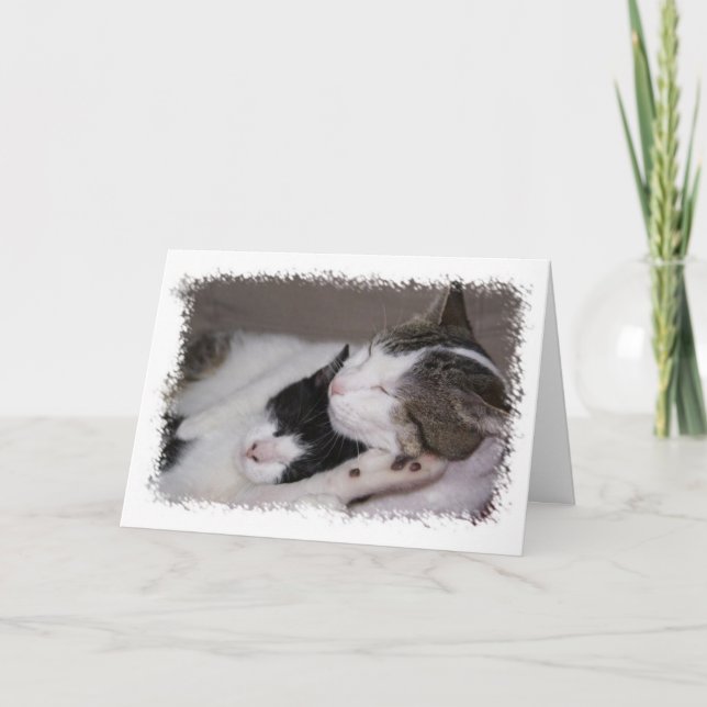 Happy Birthday Snuggle Baby Card (Front)