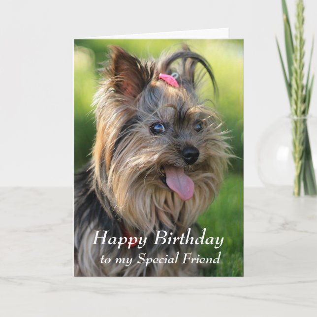 Happy Birthday Special Friend Fun Yorkie Dog Card (Front)