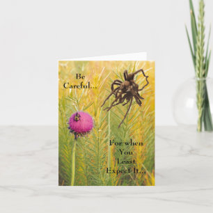 Happy Birthday Spider and Bee Warning Card
