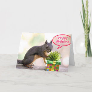 Funny Squirrel Cards, Greeting Cards & More | Zazzle CA