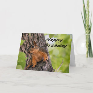 Happy Birthday Squirrel Card