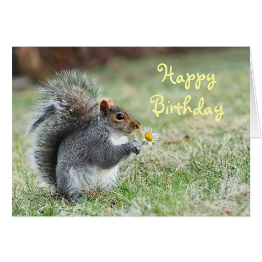 Happy Birthday Squirrel Card | Zazzle