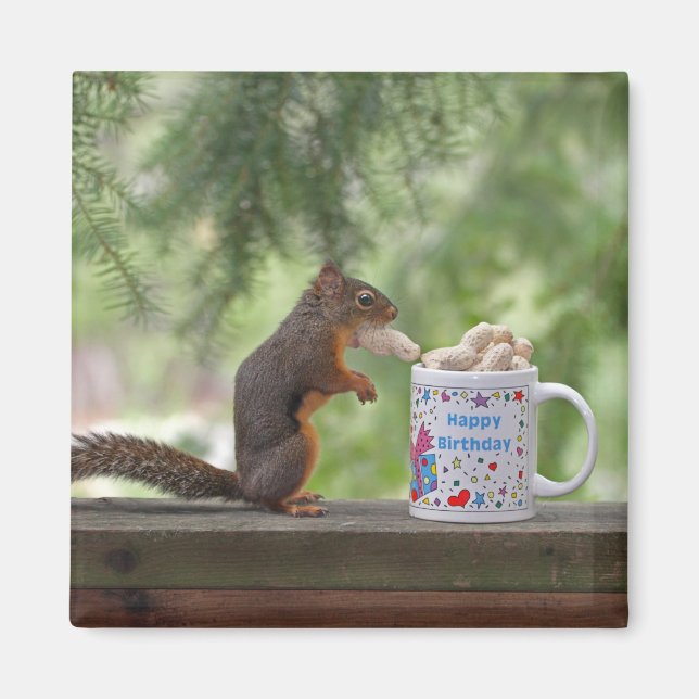 Happy Birthday Squirrel Magnet (Front)