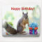 Happy Birthday Squirrel