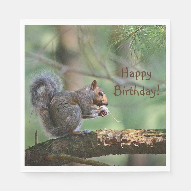 Happy Birthday Squirrel Napkin (Front)