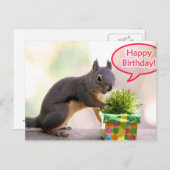 Happy Birthday Squirrel Postcard (Front/Back)