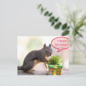 Happy Birthday Squirrel Postcard (Standing Front)