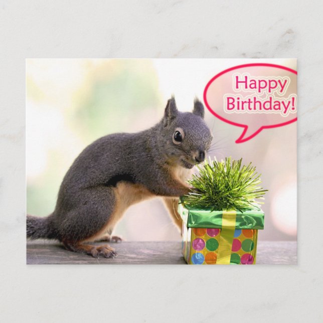 Happy Birthday Squirrel Postcard (Front)