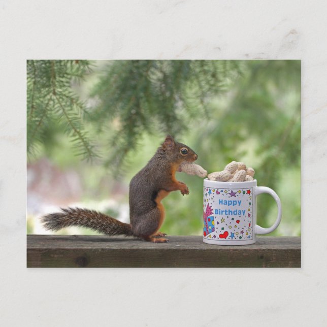 Happy Birthday Squirrel Postcard (Front)