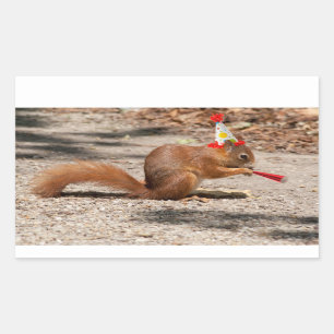Happy Birthday Squirrel Sticker