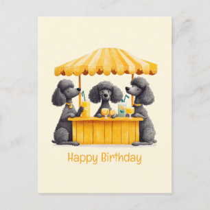 Happy Birthday Standard Poodle Dogs Lemonade Stand Postcard