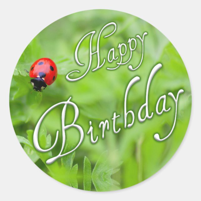 Happy Birthday stickers with a ladybug! (Front)