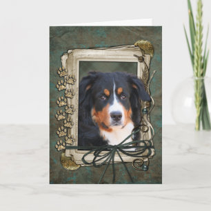 Happy Birthday - Stone Paws - Bernese Mountain Dog Card