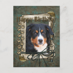 Happy Birthday - Stone Paws - Bernese Mountain Dog Postcard