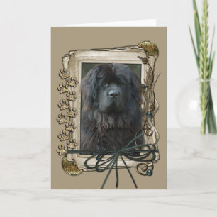 Happy Birthday - Stone Paws - Newfoundland Card