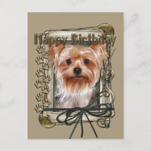 Happy Birthday - Stone Paws - Yorkshire Terrier Postcard