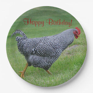 Happy Birthday Strolling Chicken Paper Plate