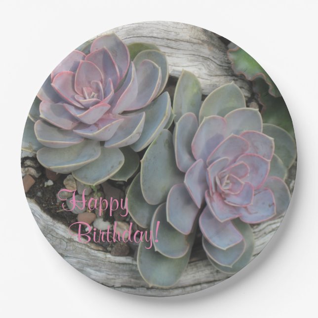 Happy Birthday Succulent Paper Plate (Front)