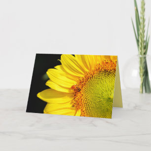 Happy Birthday Sunflower With Honeybee Card