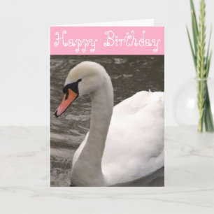 Happy Birthday Swan Birthday Card