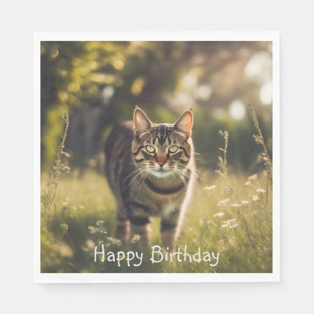 Happy Birthday Tabby Cat Napkin (Front)