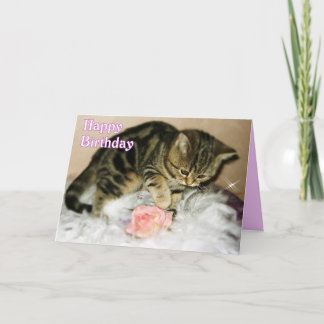 Happy Birthday - Tabby Kitten Birthday card