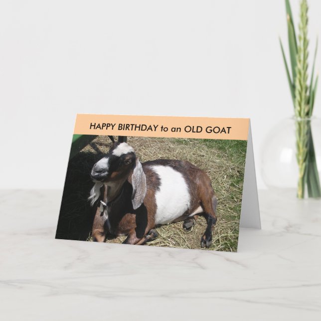 HAPPY BIRTHDAY to an OLD GOAT Card (Front)