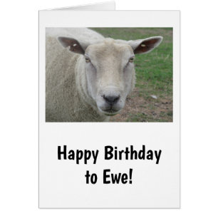 Happy Birthday to Ewe Card