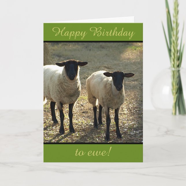 Happy Birthday to Ewe From the Flock! Customizable Card (Front)