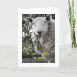 Happy Birthday to Ewe Greeting Card