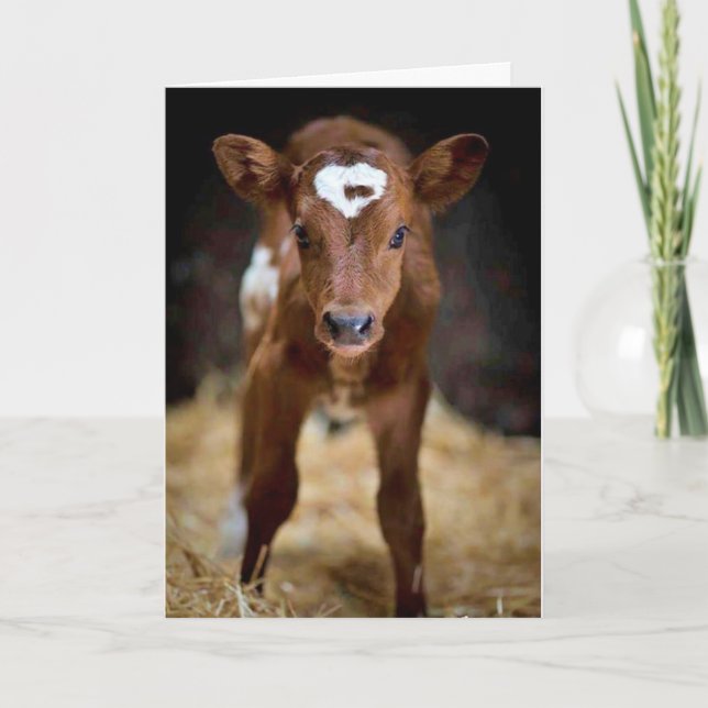 "HAPPY BIRTHDAY" TO my **BROTHER** Card (Front)