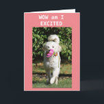 HAPPY BIRTHDAY TO MY *GRANDDAUGHTER* CARD<br><div class="desc">FLOWER IS ALWAYS NICE BUT FROM MOLY IT IS EVEN NICER. CUTE CARD FOR YOU "GRANDDAUGHTER" ON HER BIRTHDAY FOR SURE!!! THANK YOU FOR STOPPING BY ONE OF MY EIGHT STORES! CHANGE THE AGE IF YOU WISH IN SECONDS :)</div>