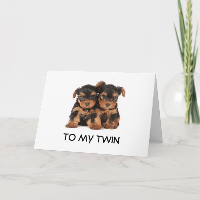 HAPPY BIRTHDAY TO THE "BEST TWIN EVER" MINE CARD (Front)