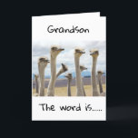 HAPPY BIRTHDAY TO YOU **GRANDSON** CARD<br><div class="desc">HAPPY BIRTHDAY  ***GRANDSON**** THANKS FOR STOPPING BY ONE OF MY EIGHT STORES!</div>