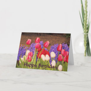 Happy Birthday! Tulips card