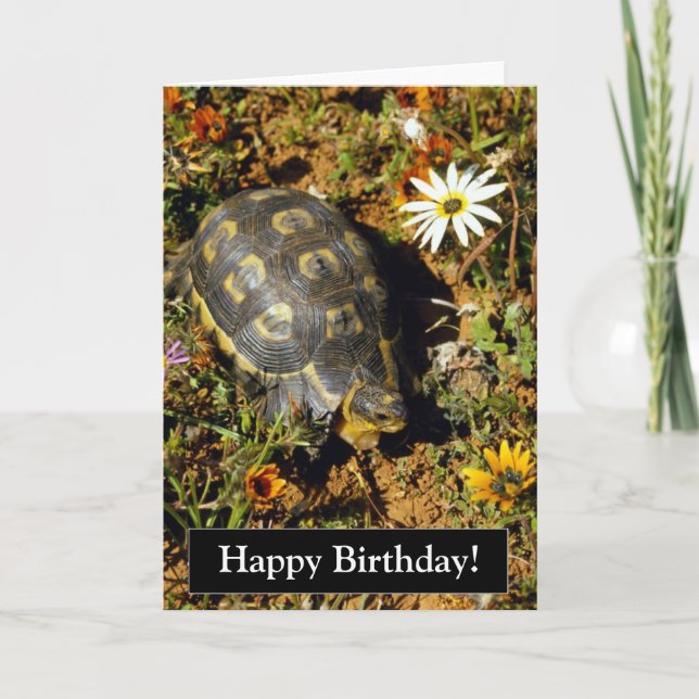 Happy Birthday Turtle Card (Front)