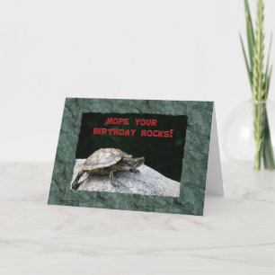 Happy Birthday, Turtle on Rock Card