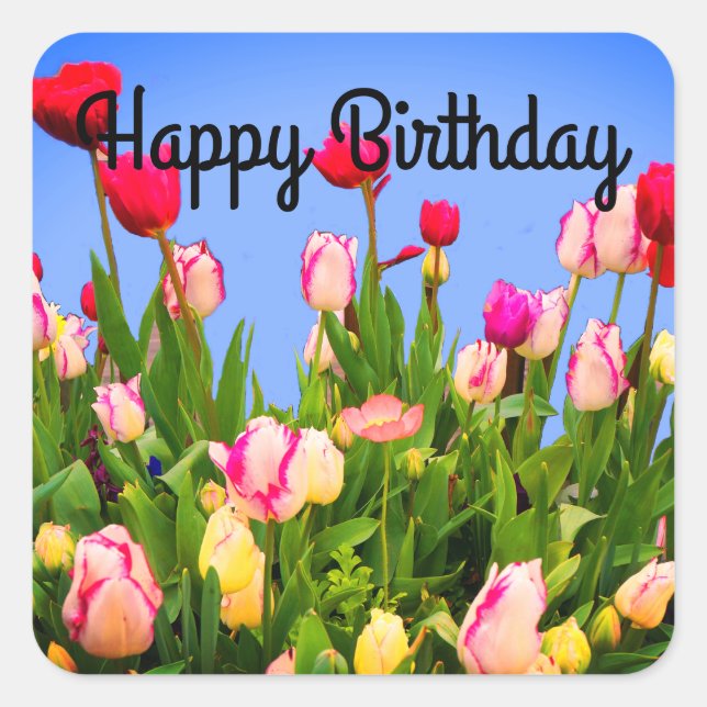 Happy Birthday Various Tulips #3 Stickers (Front)