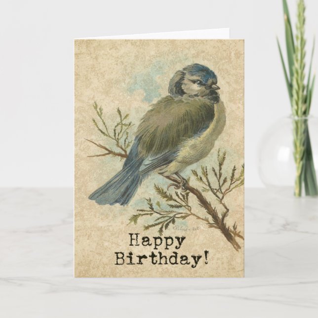 Happy Birthday, Vintage Bluetit Bird Card (Front)