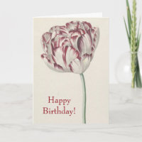 Happy Birthday - Vintage Red and White Tulip