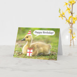 Happy Birthday Warm and Fuzzy Gosling Humour Card