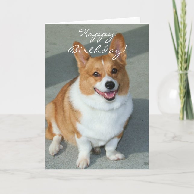 Happy Birthday Welsh Corgi Greeting Card (Front)