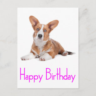 Happy Birthday Welsh Corgi Puppy Dog Postcard