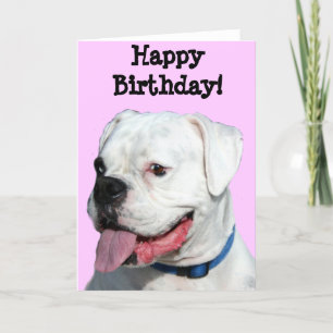 Happy Birthday White Boxer greeting card