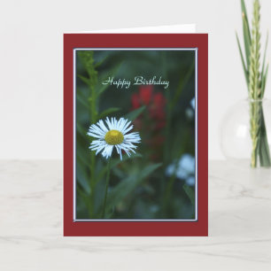 Happy Birthday, White Daisy, Green with Red Border Card