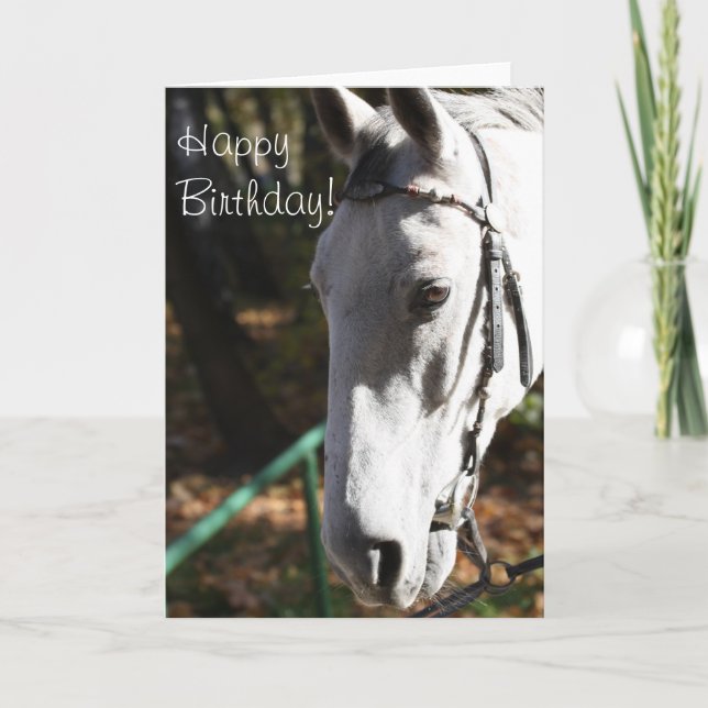 Happy Birthday White Horse Greeting Card (Front)